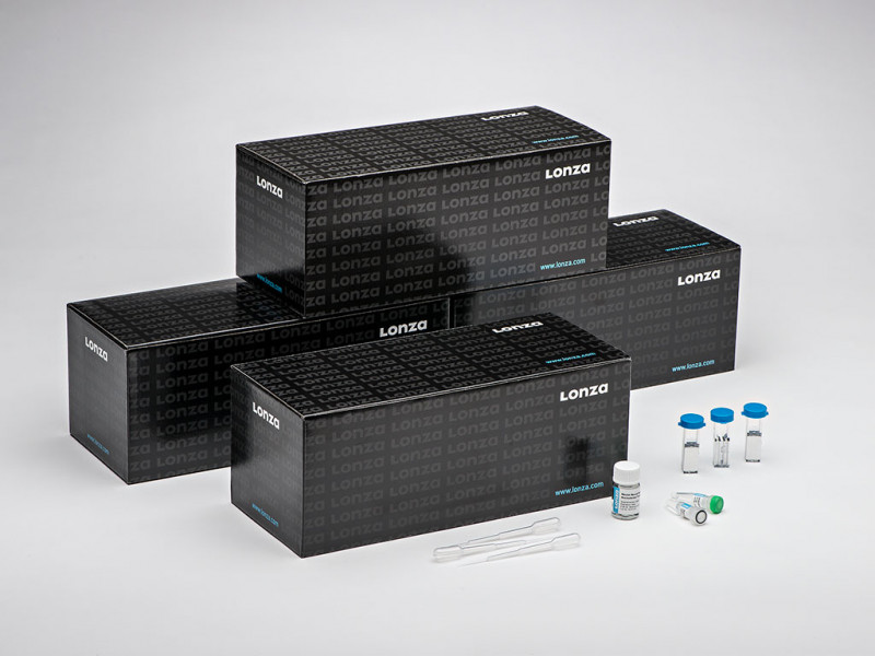 10 RCT Cell Line Kit T