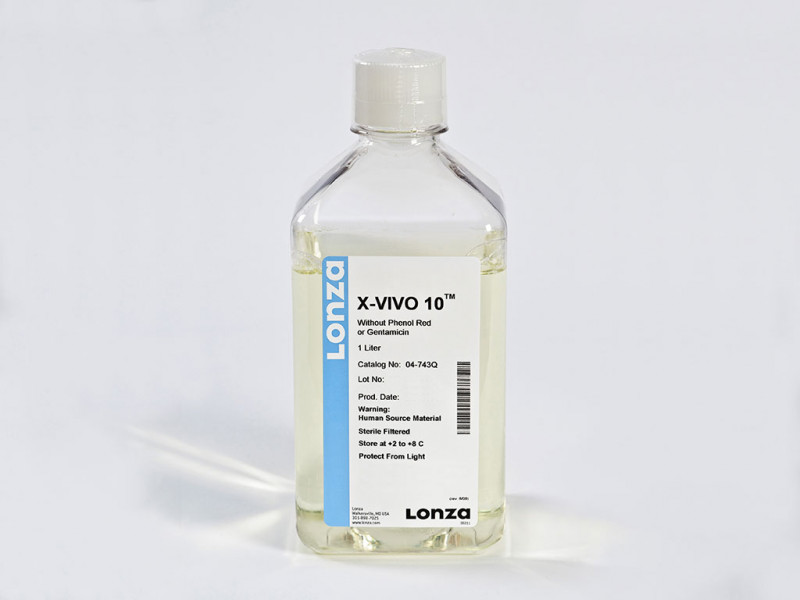 X-VIVO 10 w/o Gent or Phenol Red, 1 L