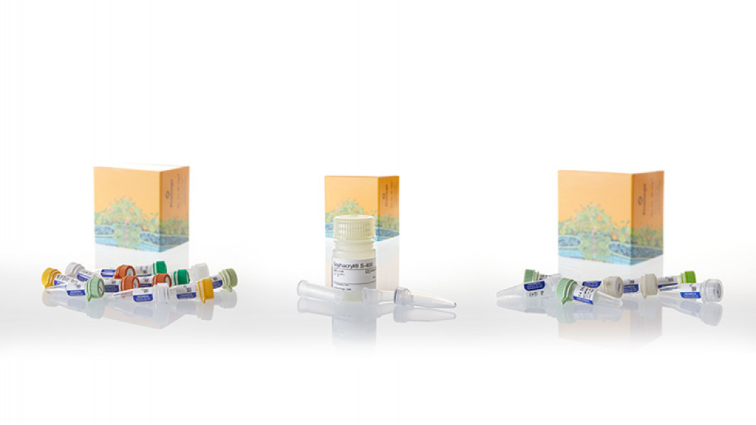 Universal RiboClone cDNA Synthesis System