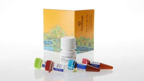 Dehydrogenase-Glo™ Detection System 5ml