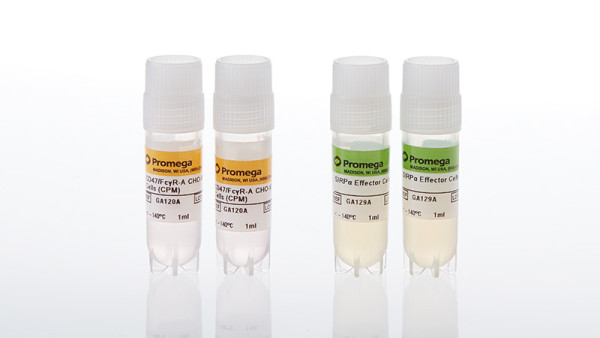 SIRPalpha/CD47 Blockade Bioassay, Propagation Model