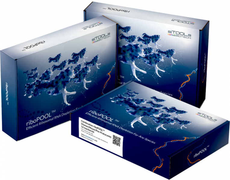 Bacillus subtilis riboPOOL Trial 6 reaction kit