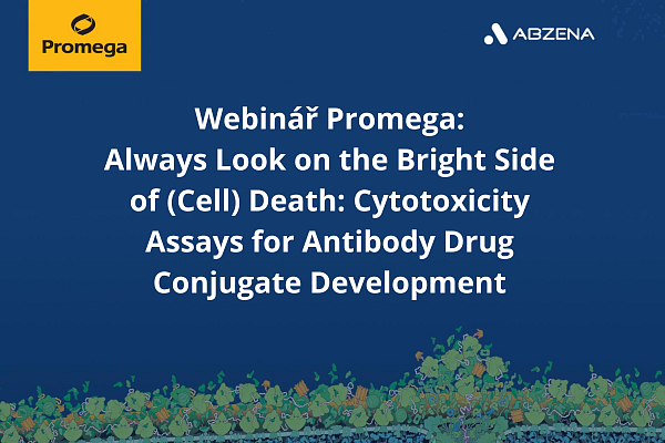 Always Look on the Bright Side of (Cell) Death: Cytotoxicity Assays for Antibody Drug Conjugate Development